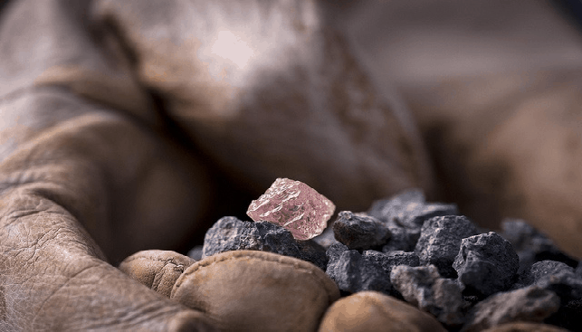 The Argyle Pink Jubilee diamond