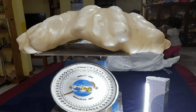 The 75-pound pearl