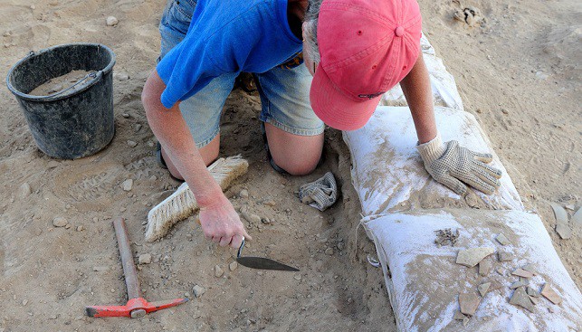 Archaeological Excavation
