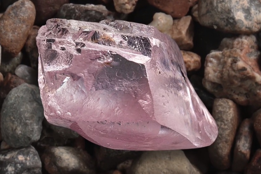 Protea Pink Diamond weighing 29.5 carat